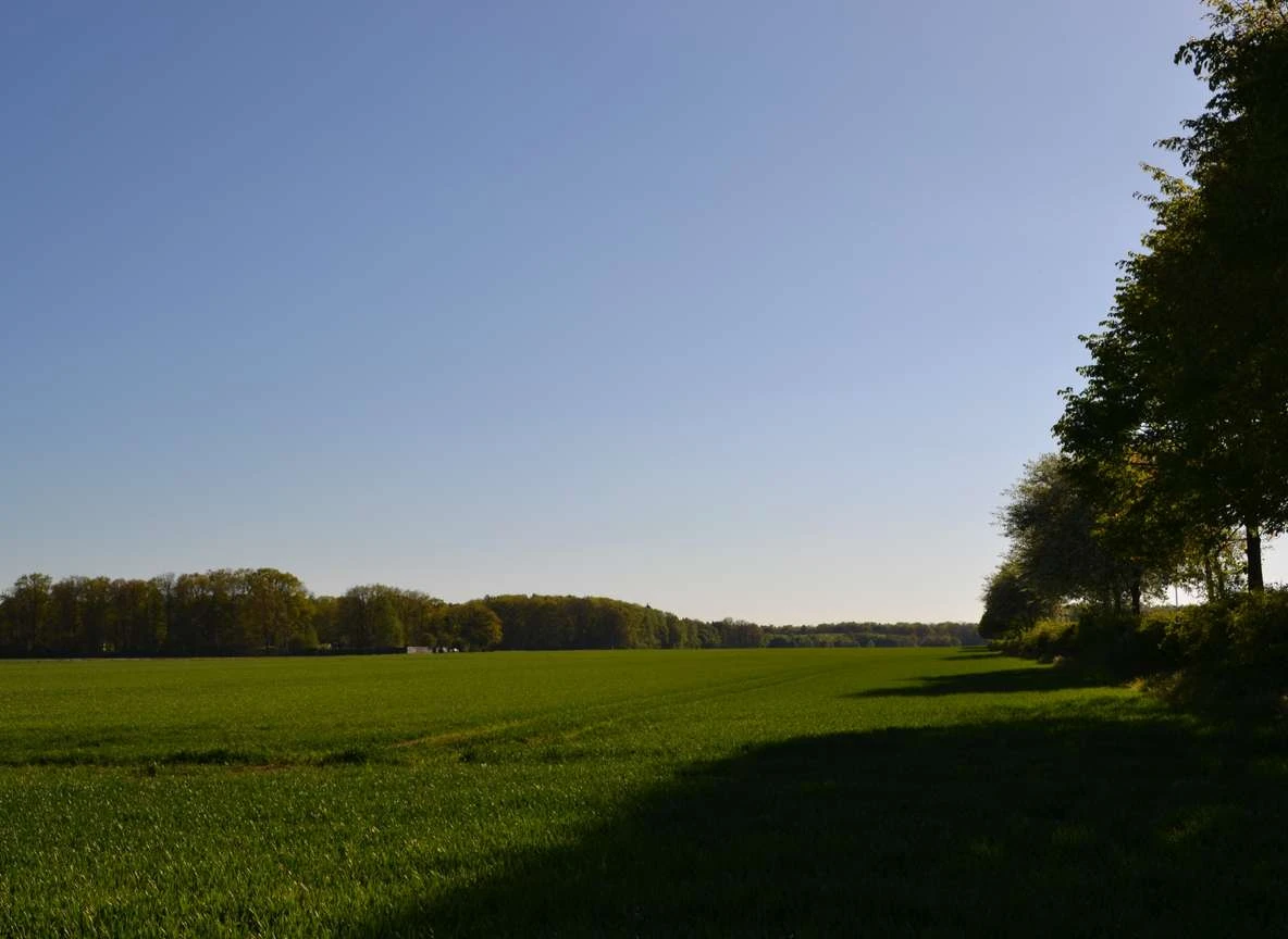 Sonniges Süd-/West-Baugrundstück